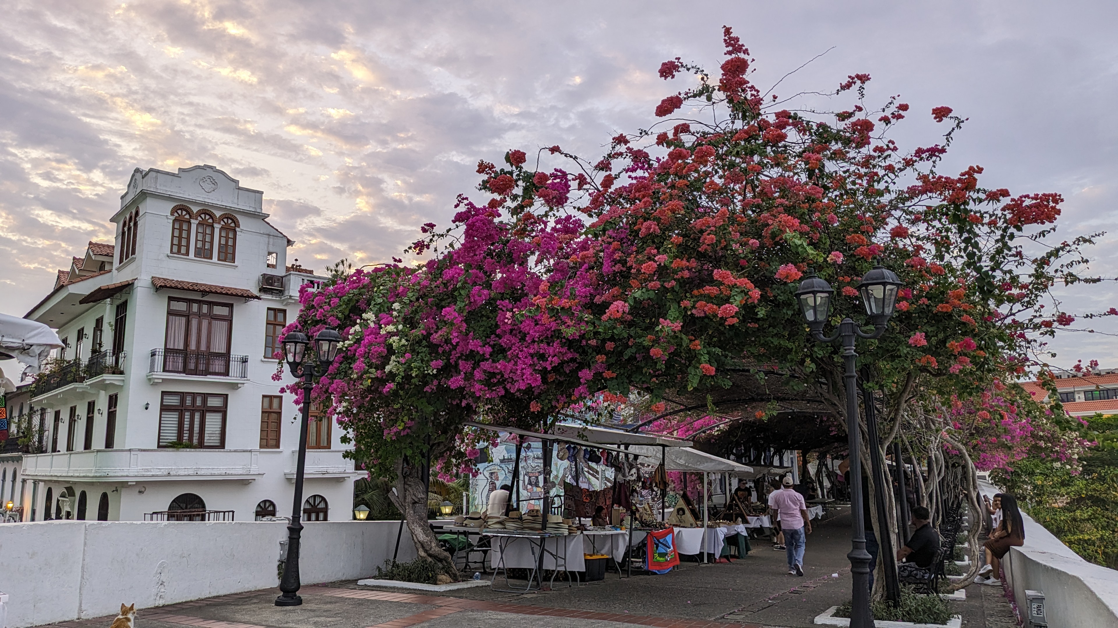 Paisaje cultural